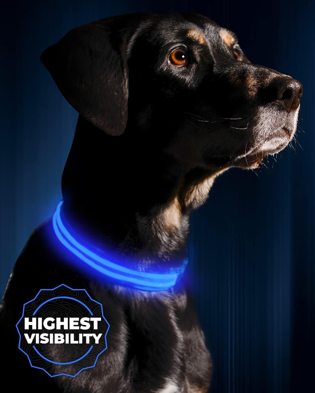 Flashing Glow Dog Collar