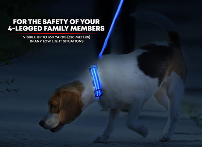 Flashing Glow Dog Collar